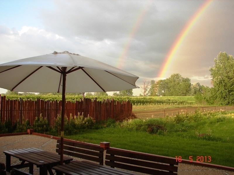 Gosciniec Kocmierzow Bed and Breakfast Sandomierz Exteriör bild